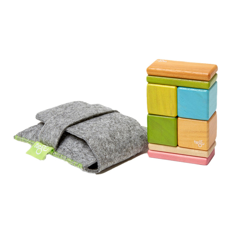 Tegu Wooden Magnetic Tints Pocket Pouch, Assorted, 8/Set (TEGA10012SJG)