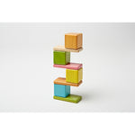 Tegu Wooden Magnetic Tints Pocket Pouch, Assorted, 8/Set (TEGA10012SJG)