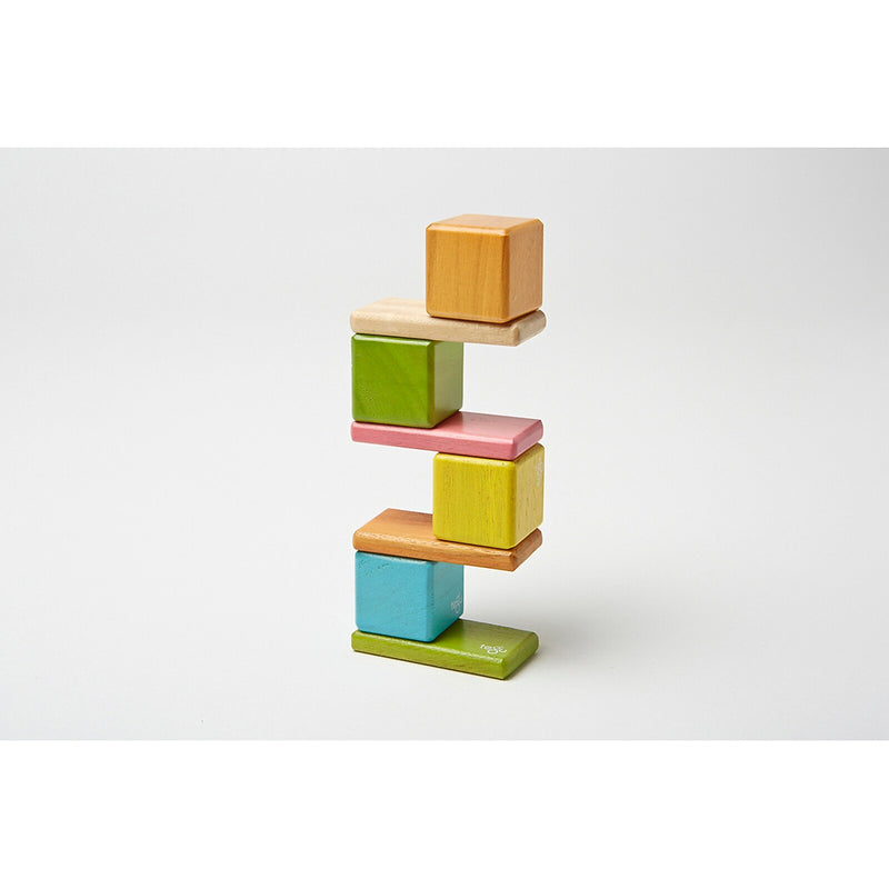 Tegu Wooden Magnetic Tints Pocket Pouch, Assorted, 8/Set (TEGA10012SJG)