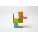 Tegu Wooden Magnetic Tints Pocket Pouch, Assorted, 8/Set (TEGA10012SJG)