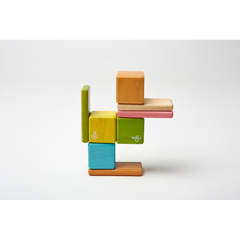 Tegu Wooden Magnetic Tints Pocket Pouch, Assorted, 8/Set (TEGA10012SJG)