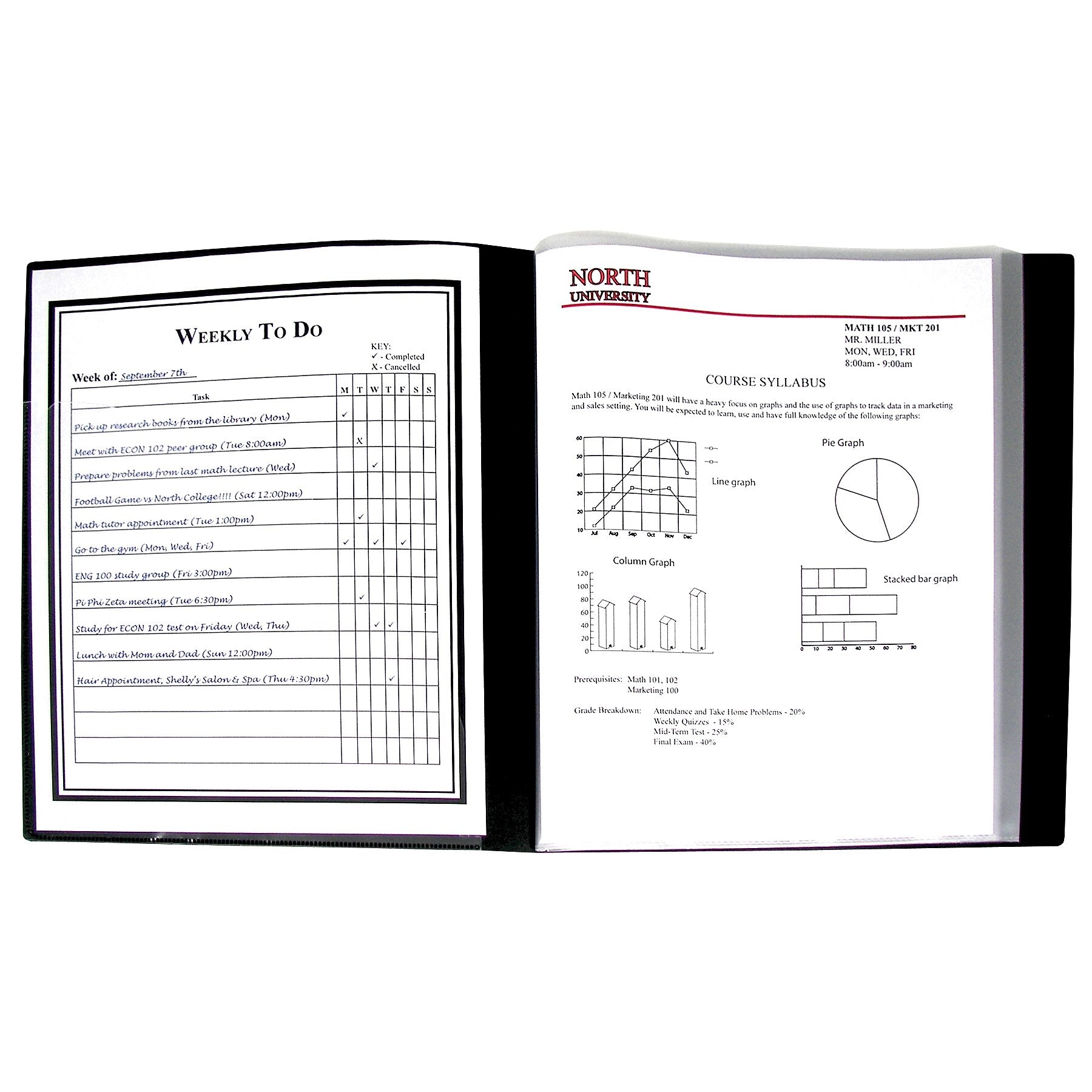 C-Line® Bound Sheet Protector Lightweight Presentation Book; 8-1/2" x 11" (CLI33120)