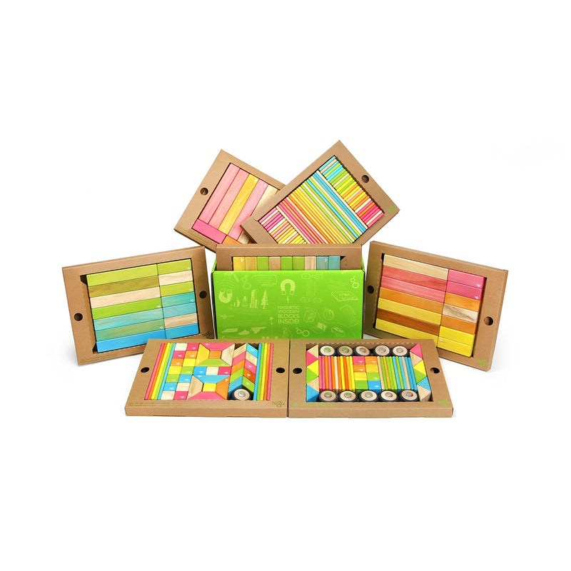 Tegu Magnetic Wooden Tints Classroom Kit, Assorted, 240 Pieces (TEG240PTNT608T)