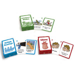 Meaning Flash Cards for grades 2-6, 1 pack of 162 cards (JRL207)