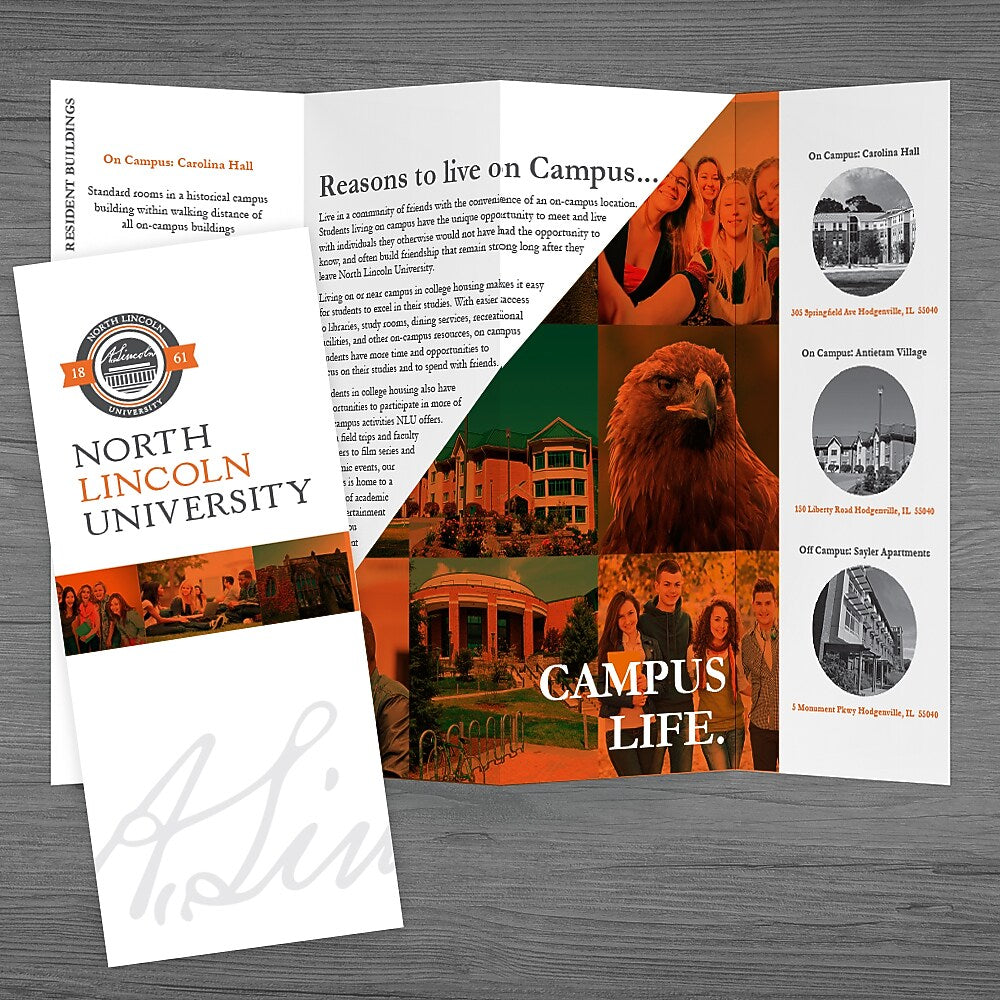 Custom 4 Panel Brochure, 100# Cover, 14" x 8 1/2", Qty 250