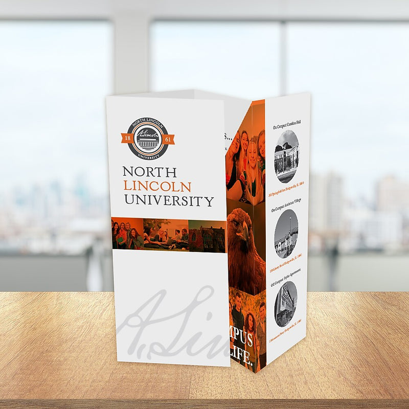 Custom 4 Panel Brochure, 100# Cover, 14" x 8 1/2", Qty 250