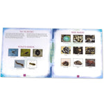 Educational Insights Nancy B's Science Club AquaScope And Underwater Wonders Activity Journal