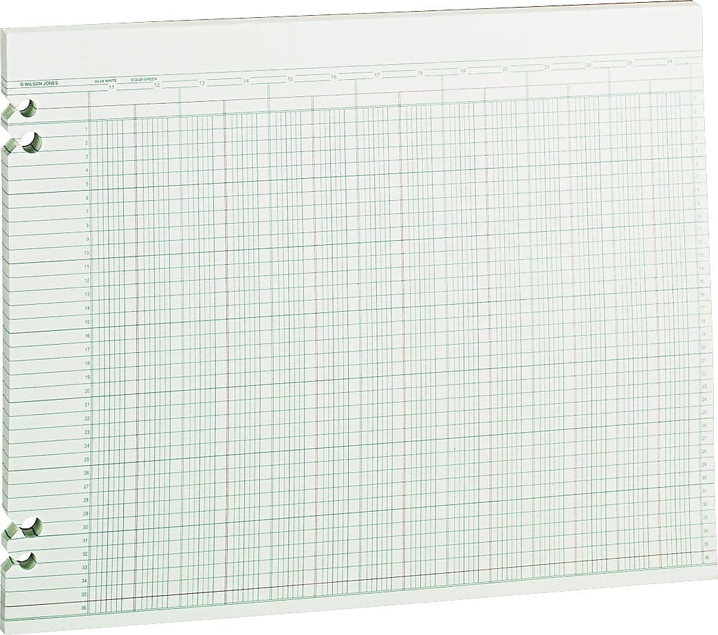 Wilson Jones Ledger Paper, 24 Columns, 11" x 14", Green, 100 Sheets (WLJG3024)