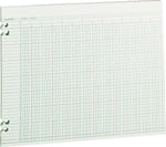 Wilson Jones Ledger Paper, 24 Columns, 11" x 14", Green, 100 Sheets (WLJG3024)