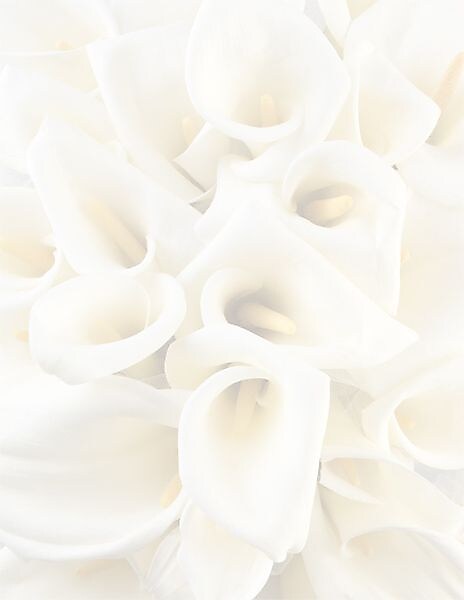 Great Papers® White Calla Lilies Letterhead 80 count