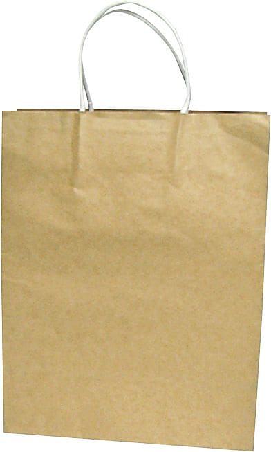 Cosco 13" x 10" x 4.5" Kraft Paper Shopping Bags, Brown, 50/Box (091565)