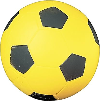 Champions Coated Foam Soccer Sport Ball for Indoor/Outdoor Use, Yellow/Black, 12 oz.