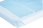 Medline Disposable Drape Sheets, 2-Ply, White, 40" x 48", 100/Ct (MIINON23339)