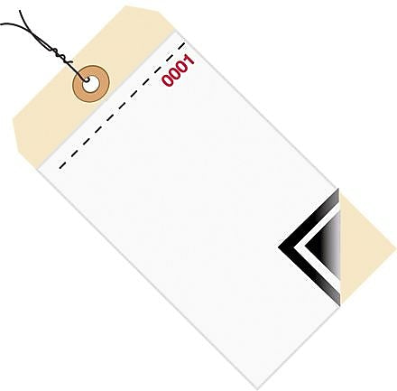 6.25" x 3.13" 3-Part Inventory Tags, 500/Carton (G17503)