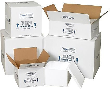 21.25" x 15.5" x 15.5" Insulated Shipping Containers, 2" Thick (269C)