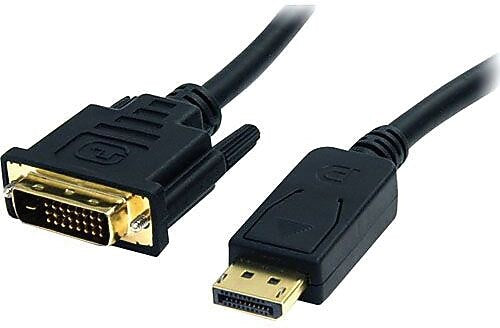 StarTech 6 ft DisplayPort to DVI Cable - M/M