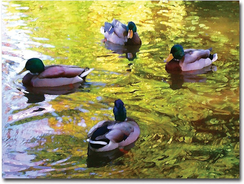 Trademark Global Amy Vangsgard "Four Ducks on Pond" Canvas Art, 18" x 24"