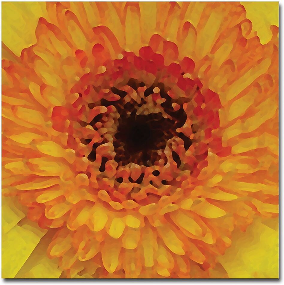 Trademark Global Amy Vangsgard "Orange and Black Gerber Centers" Canvas Art, 18" x 18"