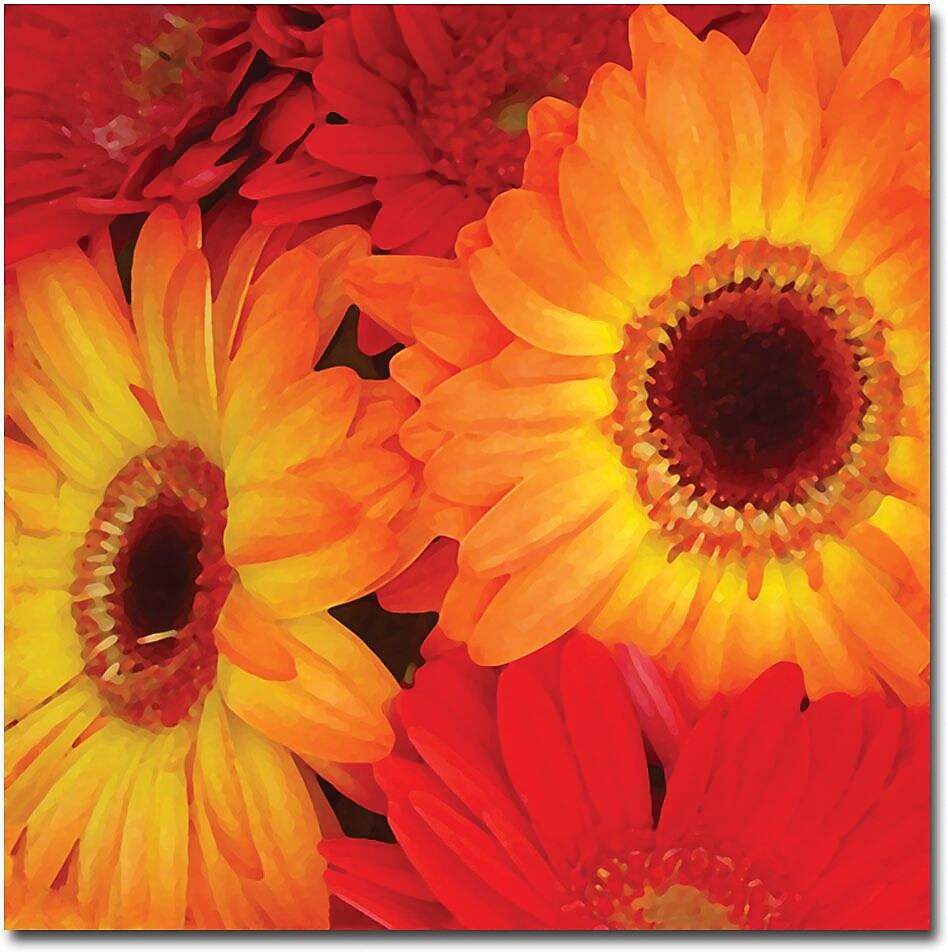 Trademark Global Amy Vangsgard "Orange and Red Gerbers" Canvas Art, 18" x 18"
