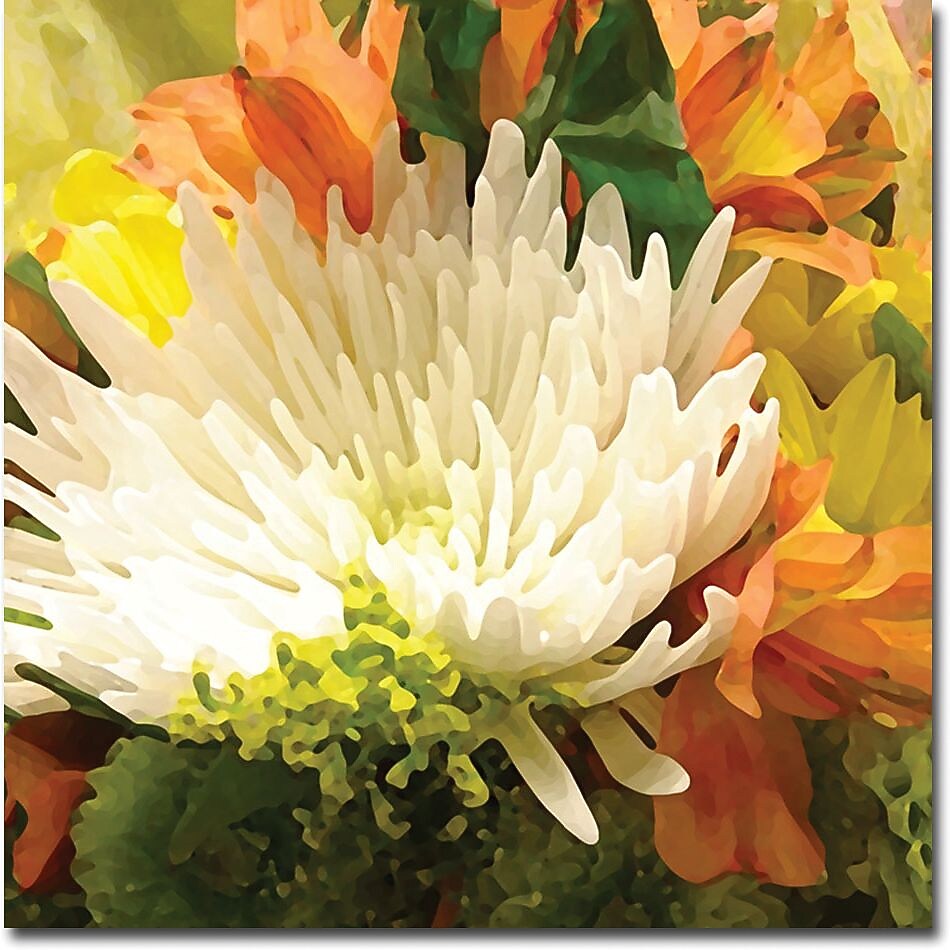 Trademark Global Amy Vangsgard "Spring Flower Burst" Canvas Art, 35" x 35"