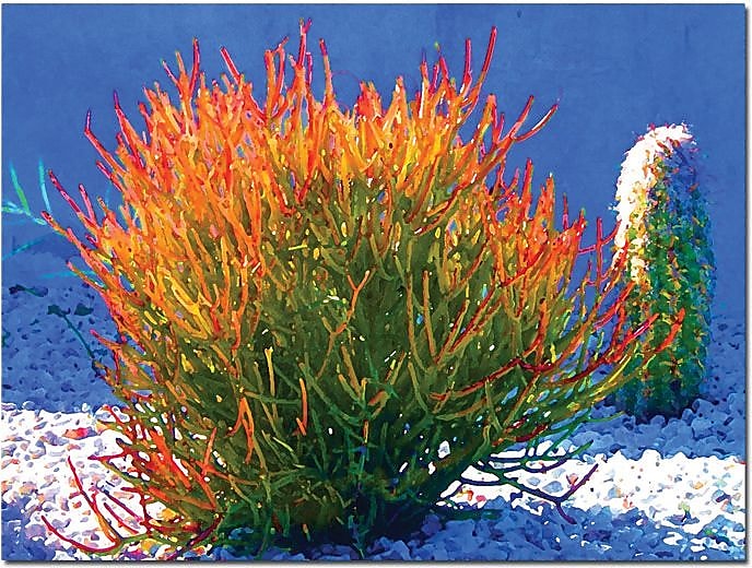 Trademark Global Amy Vangsgard "Firesticks on Blue" Canvas Art, 24" x 32"
