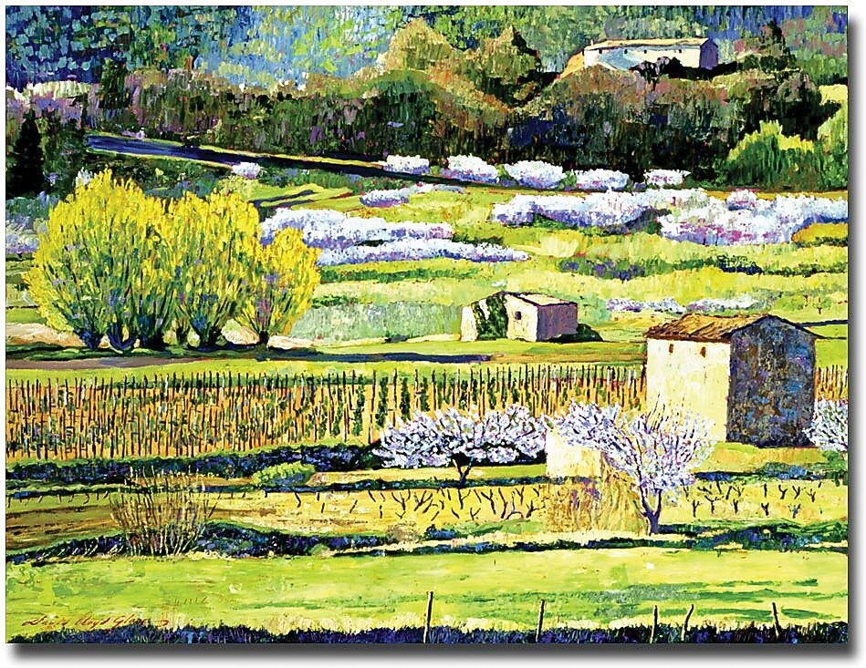 Trademark Global David Lloyd Glover "Bordeaux Vineyards in Spring" Canvas Art, 26" x 32"