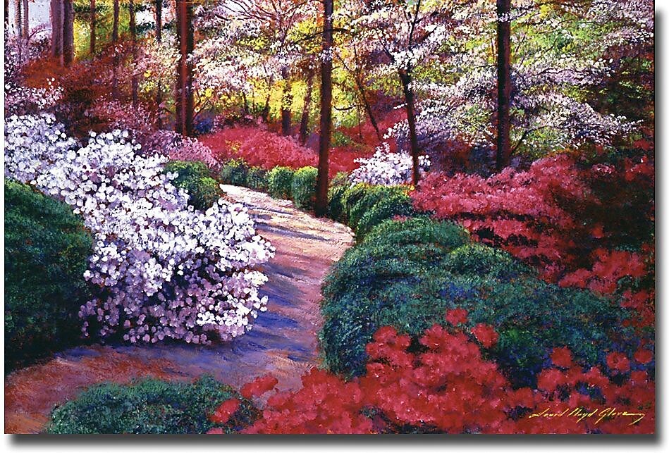 Trademark Global David Lloyd Glover "April Beauties" Canvas Art, 30" x 47"