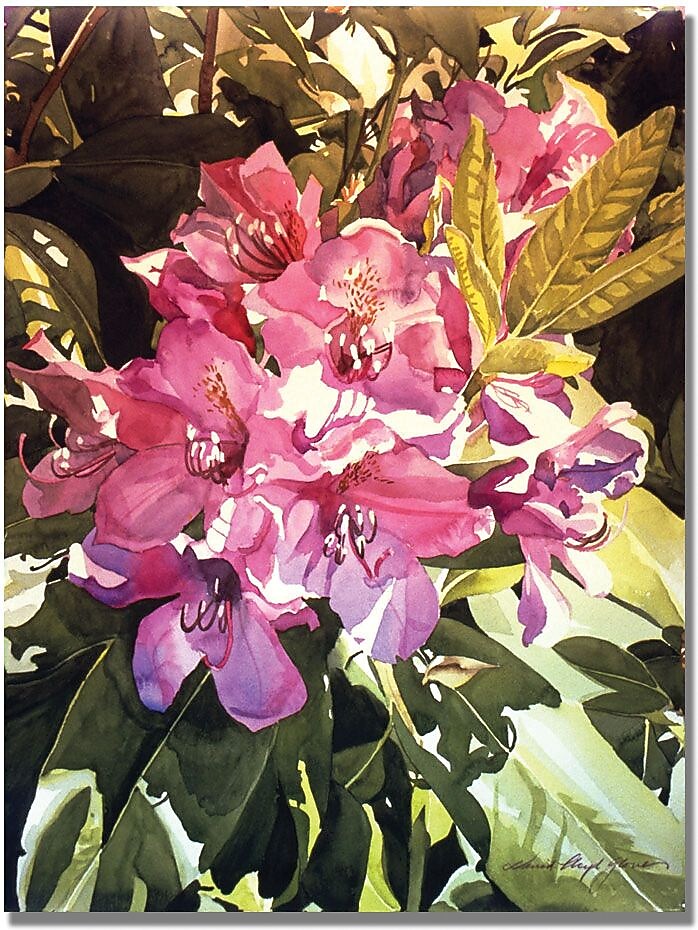 Trademark Global David Lloyd Glover "Royal Rhododendrons" Canvas Art, 26" x 32"