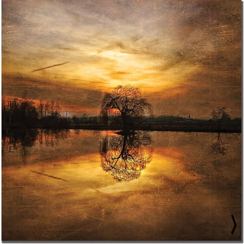 Trademark Global Philippe Sainte Laudy "Ball Gold" Canvas Art, 18" x 18"
