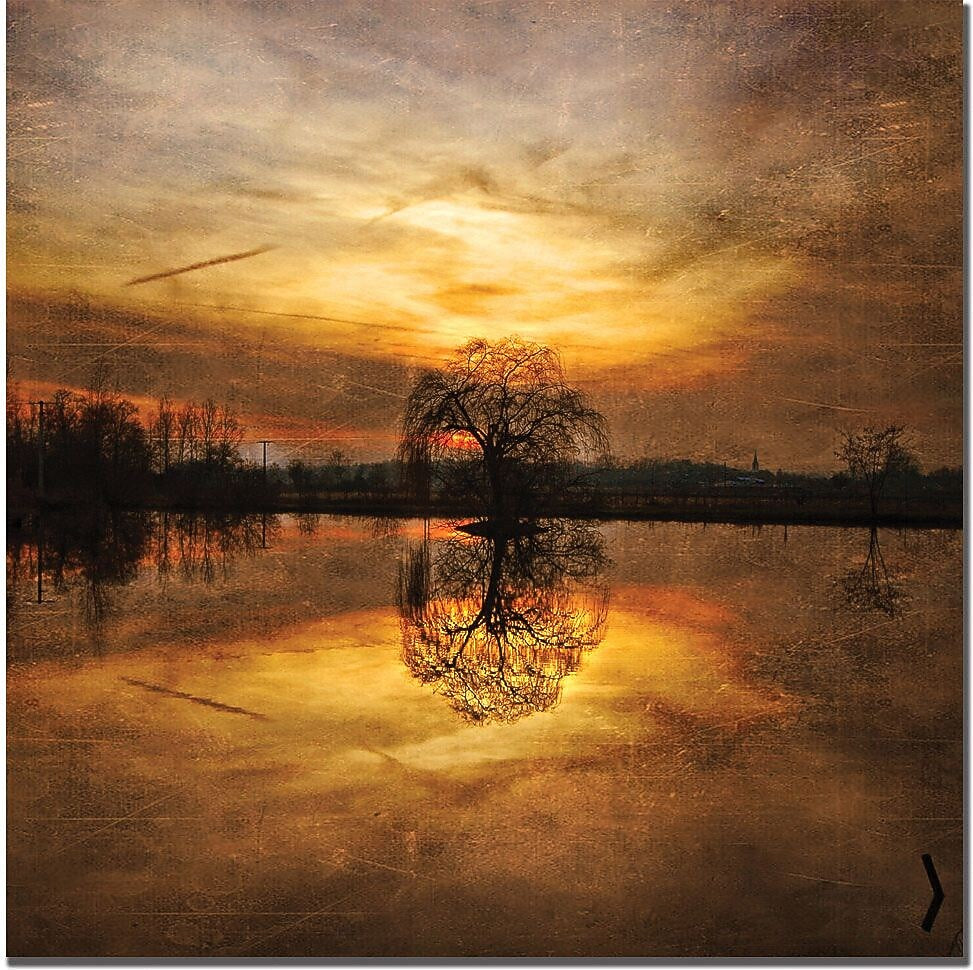 Trademark Global Philippe Sainte Laudy "Ball Gold" Canvas Art, 24" x 24"