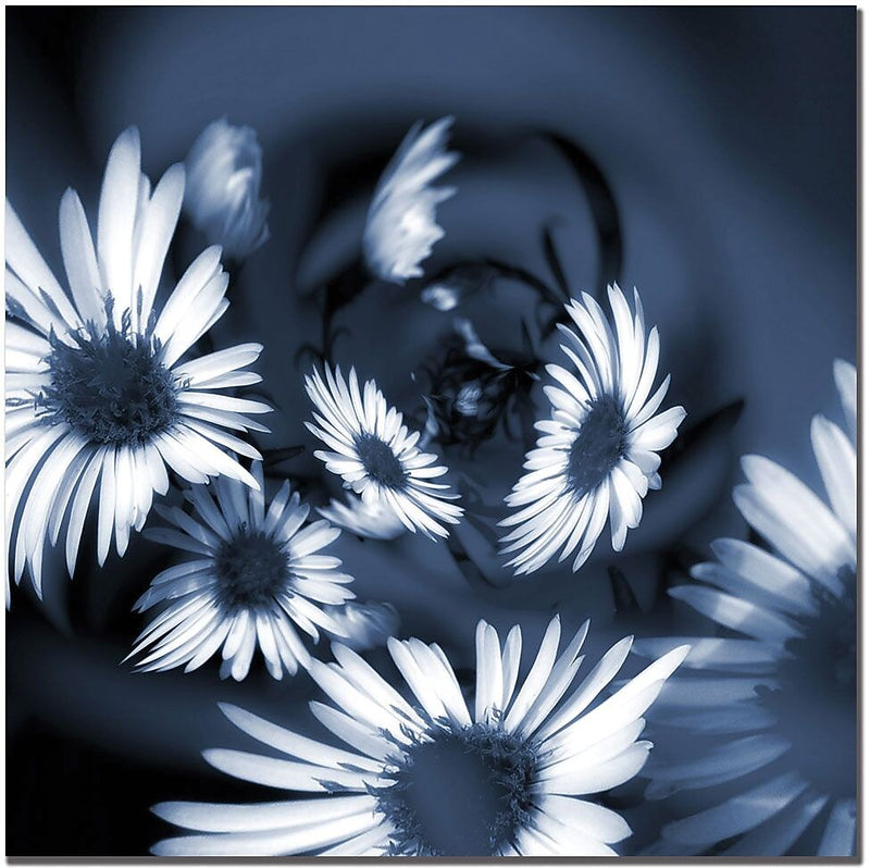 Trademark Global Philippe Sainte Laudy "Dancing Flowers" Canvas Art, 18" x 18"