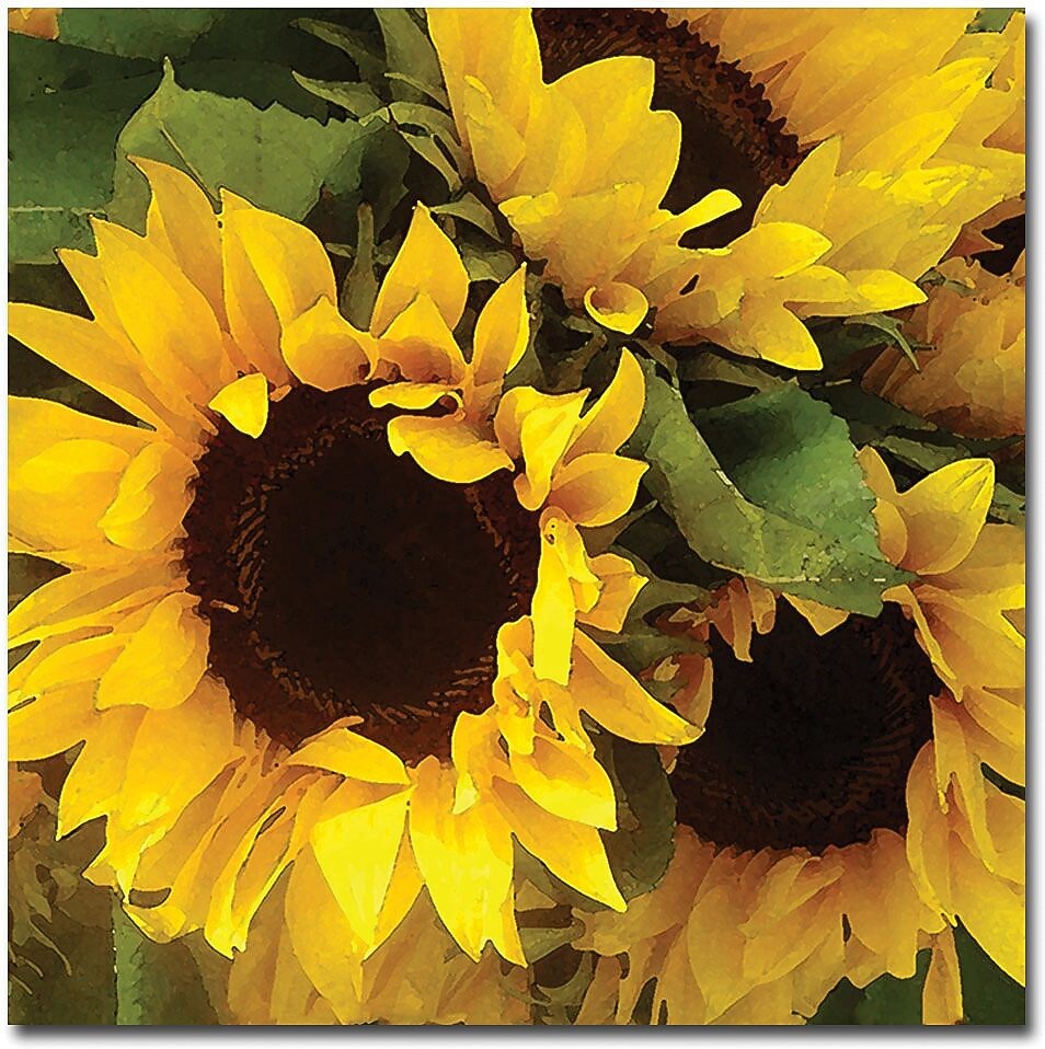 Trademark Global Amy Vangsgard "Sunflowers" Canvas Art, 18" x 18"