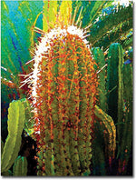 Trademark Global Amy Vangsgard "Tall Cactus" Canvas Art, 18" x 24"