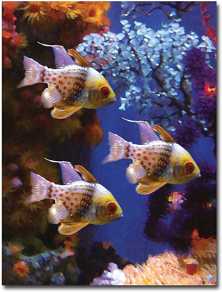 Trademark Global Amy Vangsgard "Three Pajama Fish" Canvas Art, 24" x 32"