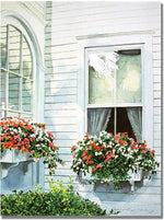 Trademark Global David Lloyd Glover "Window Boxes" Canvas Art, 18" x 24"