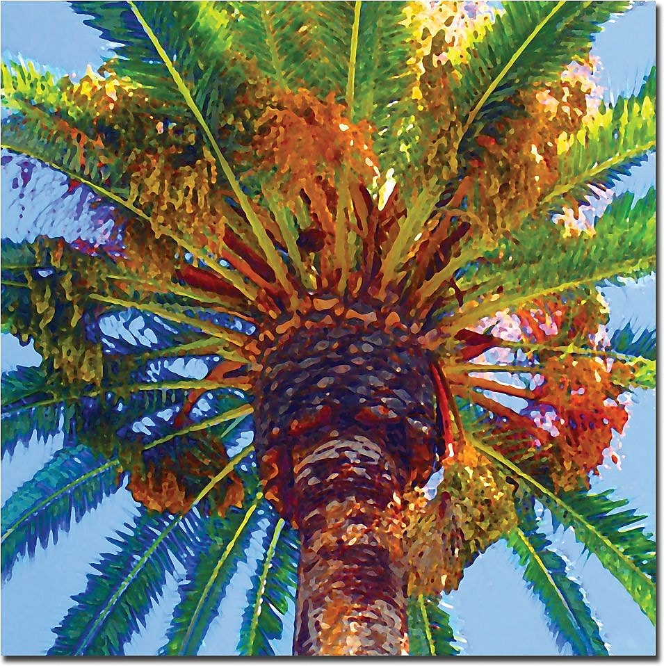 Trademark Global Amy Vangsgard "Palm Tree Looking Up" Canvas Art, 35" x 35"