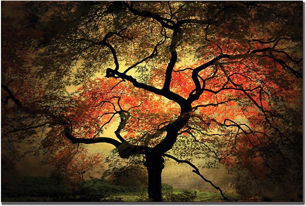 Trademark Global Philippe Sainte Laudy "Japanese" Canvas Art, 30" x 47"