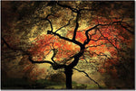 Trademark Global Philippe Sainte Laudy "Japanese" Canvas Art, 16" x 24"