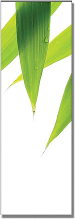 Trademark Global Philippe Sainte Laudy "Life is Green - A" Canvas Art, 8" x 24"