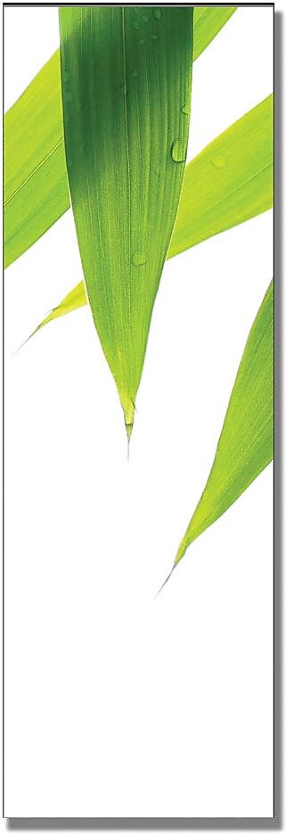 Trademark Global Philippe Sainte Laudy "Life is Green - A" Canvas Art, 8" x 24"
