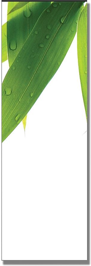 Trademark Global Philippe Sainte Laudy "Life is Green - B" Canvas Art, 8" x 24"