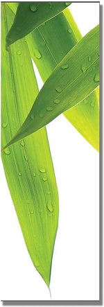 Trademark Global Philippe Sainte Laudy "Life is Green - C" Canvas Art, 8" x 24"
