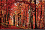 Trademark Global Philippe Sainte Laudy "The Red Way" Canvas Art, 14" x 19"