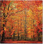 Trademark Global Philippe Sainte Laudy "Red November" Canvas Art, 24" x 24"
