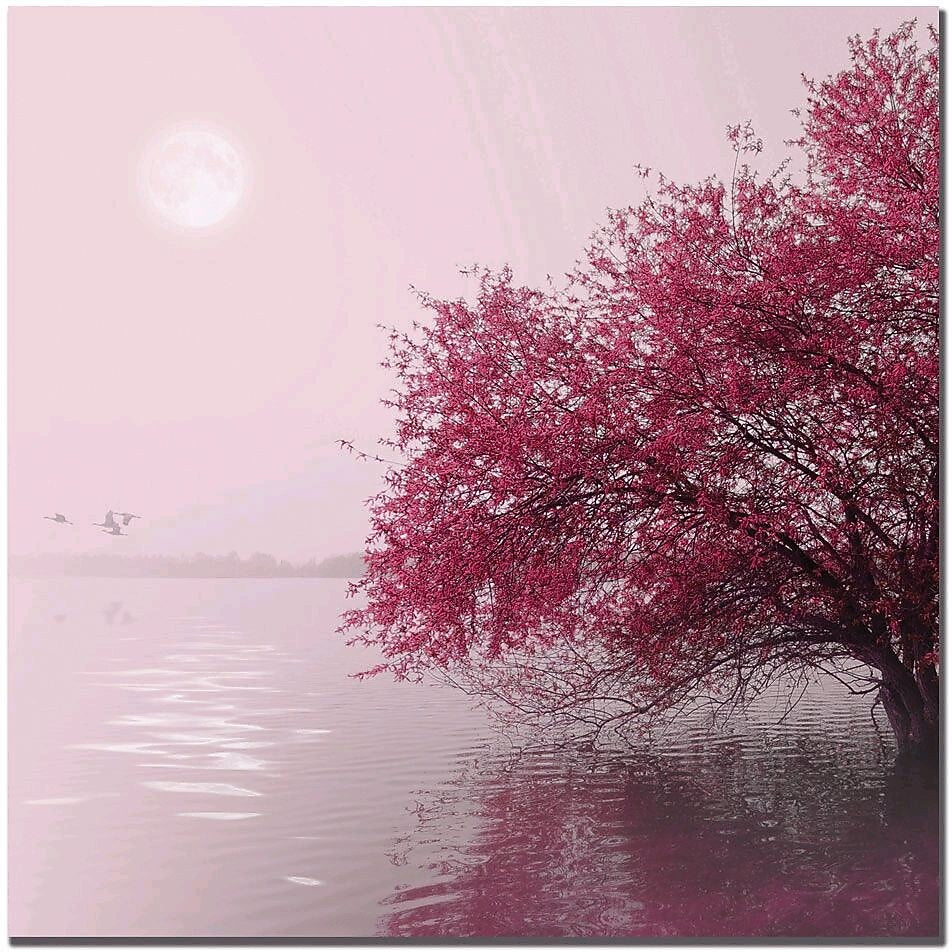 Trademark Global Philippe Sainte Laudy "Full Moon on the Lake" Canvas Art, 18" x 18"