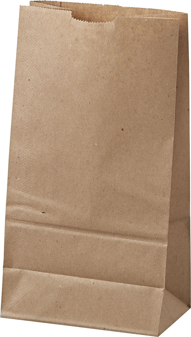 Duro Standard Natural Brown Paper Bags #6, 11 1/16"H x 6"W x 3 5/8"D, 500/Bundle (BAGGK6500)