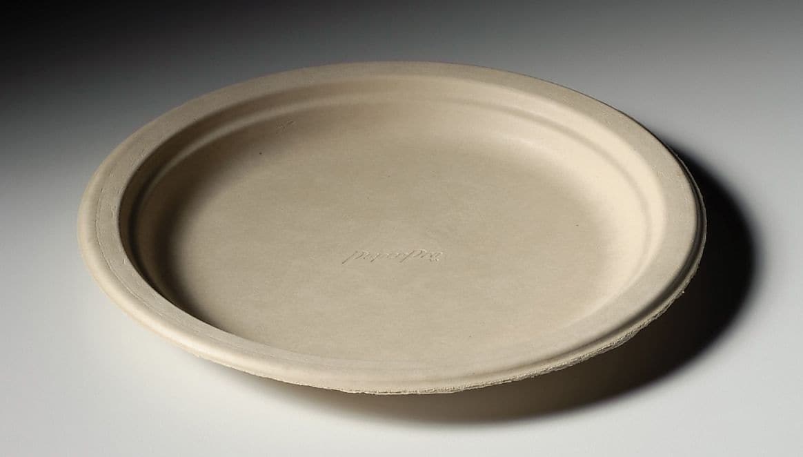 Chinet® Paper Pro Round Plates , 8 3/4 Inches , White , 125/pack (HUH 25775)