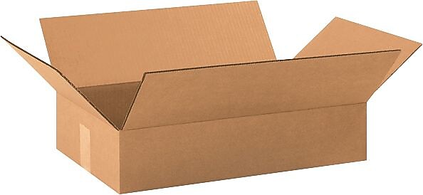 19" x 12" x 4" Shipping Boxes, 32 ECT, Brown, 25/Bundle (19124)