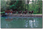 Trademark Global "Clydesdales on Green Pond" Canvas Art, 16" x 24"