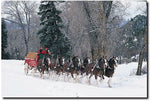 Trademark Global "Clydesdales Snowing in Forest" Canvas Art, 16" x 24"